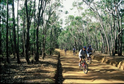 לא על דרך המלך - מסע אופניים במדגסקר