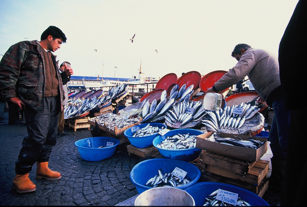 שוק דגים מאולתר, איסטנבול