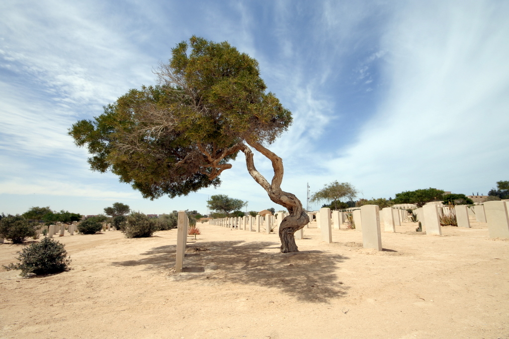 בית הקברות של בעלות הברית באל עלמיין